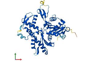 AlphaFold protein structure predicition of Human Recombinant ACTR1B Protein, UniprotID P42025