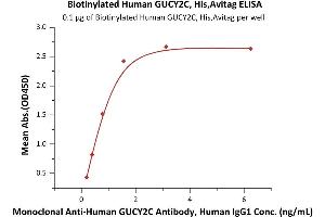 Immobilized Biotinylated Human GUCY2C, His,Avitag (ABIN6973084) at 1 μg/mL (100 μL/well) on streptavidin  precoated (0.