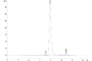 The purity of Biotinylated Human DKK1 N terminal Domain is greater than 95 % as determined by SEC-HPLC.