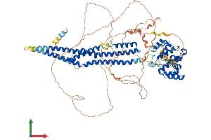 Protein Structure (PS) image for rho GTPase Activating Protein 44 (ARHGAP44) (AA 1-814) protein (His tag) (ABIN7563835)
