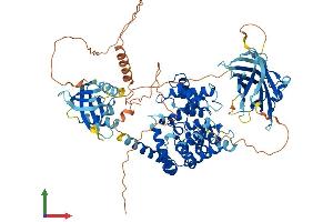 Protein Structure (PS) image for RAB GTPase Activating Protein 1-Like (RABGAP1L) (AA 1-815) protein (His tag) (ABIN7562010)