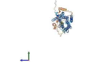 AlphaFold protein structure predicition of Mouse Recombinant Adra2c Protein, UniprotID Q01337