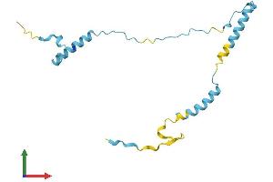 AlphaFold protein structure predicition of Human Recombinant MPHOSPH6 Protein, UniprotID Q99547