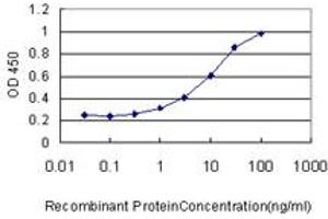Detection limit for recombinant GST tagged MVP is approximately 1ng/ml as a capture antibody. (MVP 抗体  (AA 1-893))