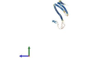 AlphaFold protein structure predicition of Mouse Recombinant Tnip2 Protein, UniprotID Q99JG7