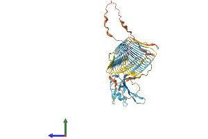 AlphaFold protein structure predicition of Human Recombinant DAZ3 Protein, UniprotID Q9NR90