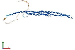 Protein Structure (PS) image for Tektin 3 (TEKT3) (AA 1-490) protein (His tag) (ABIN7558128)