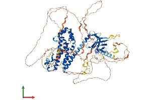 Protein Structure (PS) image for rho Guanine Nucleotide Exchange Factor (GEF) 15 (ARHGEF15) (AA 1-841) protein (His tag) (ABIN7552382)