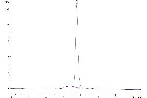 The purity of Biotinylated Cynomolgus GARP&Latent TGF beta Complex is greater than 95 % as determined by SEC-HPLC.