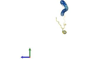 Protein Structure (PS) image for Vesicle-Associated Membrane Protein 4 (VAMP4) (AA 1-141) protein (His tag) (ABIN7545013)