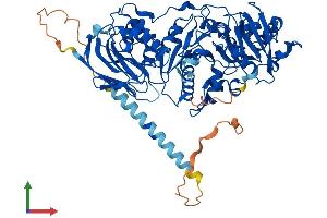 Protein Structure (PS) image for Protein O-Linked Mannose Beta1,2-N-Acetylglucosaminyltransferase (POMGNT1) (AA 1-660) protein (His tag) (ABIN7560076)