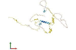 Protein Structure (PS) image for Myozenin 1 (MYOZ1) (AA 1-296) protein (His tag) (ABIN7561620)