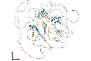 AlphaFold protein structure predicition of Human Recombinant RBM6 Protein, UniprotID P78332
