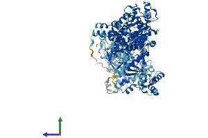 AlphaFold protein structure predicition of Mouse Recombinant Lars1 Protein, UniprotID Q8BMJ2