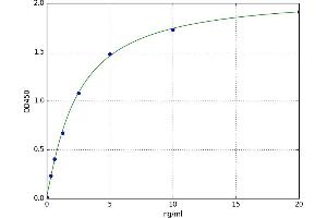 A typical standard curve (ACA-IgA ELISA 试剂盒)