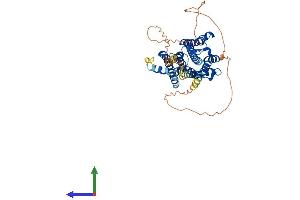 Protein Structure (PS) image for Cholinergic Receptor, Muscarinic 2 (CHRM2) (AA 1-466) protein (His tag) (ABIN7561452)