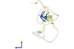 AlphaFold protein structure predicition of Human Recombinant NUP35 Protein, UniprotID Q8NFH5