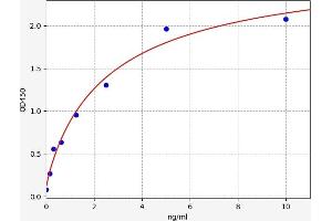 STAT2 ELISA 试剂盒
