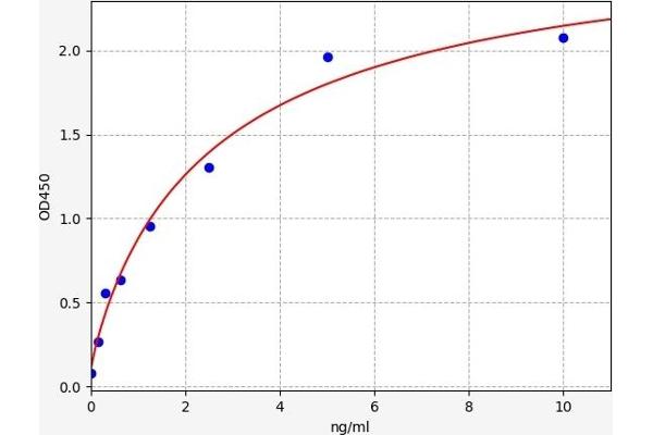 STAT2 ELISA 试剂盒