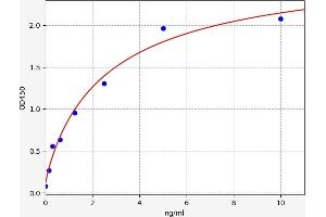 Typical standard curve (STAT2 ELISA 试剂盒)