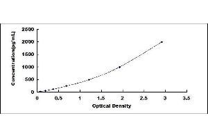 Typical standard curve (RBP4 ELISA 试剂盒)