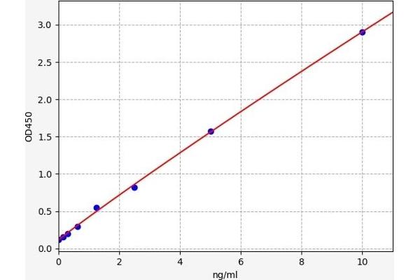 POMC ELISA 试剂盒