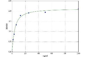 A typical standard curve