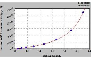 Typical Standard Curve (LASP1 ELISA 试剂盒)