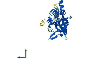 Protein Structure (PS) image for CTD Nuclear Envelope Phosphatase 1a (CTDNEP1A) (AA 1-244) protein (His tag) (ABIN7546620)