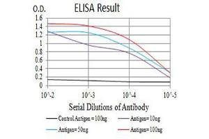 Black line: Control Antigen (100 ng),Purple line: Antigen (10 ng), Blue line: Antigen (50 ng), Red line:Antigen (100 ng) (CSF3R 抗体  (AA 25-187))