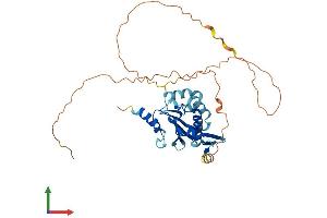 Protein Structure (PS) image for BCL2/adenovirus E1B 19kD Interacting Protein Like (BNIPL) (AA 1-357) protein (His tag) (ABIN7552676)