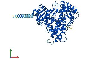 Protein Structure (PS) image for Cytochrome P450, Family 2, Subfamily E, Polypeptide 1 (CYP2E1) (AA 1-493) protein (His tag) (ABIN7546789)