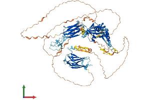 AlphaFold protein structure predicition of Mouse Recombinant Dnaaf2 Protein, UniprotID Q8BPI1