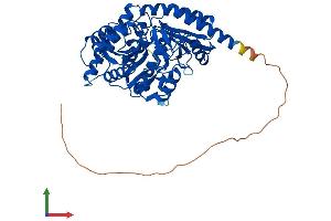 AlphaFold protein structure predicition of Human Recombinant ETNPPL Protein, UniprotID Q8TBG4
