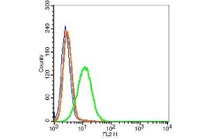 A549 cells probed with 	VEGFR3 Polyclonal Antibody, Unconjugated  at 1:100 for 30 minutes followed by incubation with a conjugated secondary (PE conjugated) (green) for 30 minutes compared to control cells (blue), secondary only (light blue) and isotype control (orange). (FLT4 抗体  (AA 901-1000))