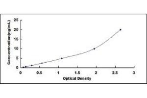 Typical standard curve (OPTC ELISA 试剂盒)