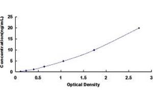 Typical standard curve (SSH1 ELISA 试剂盒)