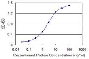 Detection limit for recombinant GST tagged VASH1 is 0. (VASH1 抗体  (AA 3-100))