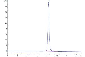 Size-exclusion chromatography-High Pressure Liquid Chromatography (SEC-HPLC) image for EPH Receptor B2 (EPHB2) (AA 19-542) protein (His tag) (ABIN7274547)