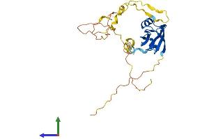 Protein Structure (PS) image for PDZ Domain Containing 9 (PDZD9) (AA 1-266) protein (His tag) (ABIN7561177)