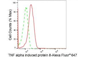 anti-Tumor Necrosis Factor, alpha-Induced Protein 8 (TNFAIP8) antibody