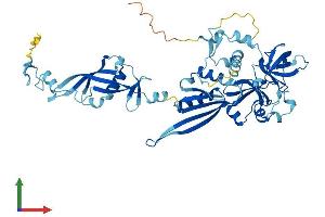 Protein Structure (PS) image for 60S Ribosomal Export Protein NMD3 (NMD3) (AA 1-503) protein (His tag) (ABIN7560353)