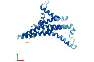 AlphaFold protein structure predicition of Human Recombinant MT-ATP6 Protein, UniprotID P00846