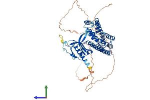 Protein Structure (PS) image for rho Guanine Nucleotide Exchange Factor (GEF) 3 (ARHGEF3) (AA 1-526) protein (His tag) (ABIN7552380)