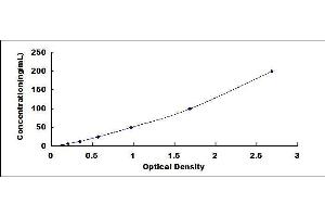 ELISA image for Cytochrome P450, Family 2, Subfamily E, Polypeptide 1 (CYP2E1) ELISA Kit (ABIN424544)