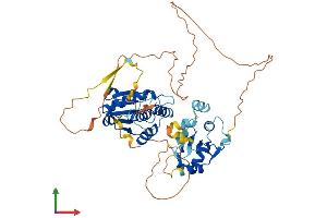 Protein Structure (PS) image for Dual Specificity Phosphatase 10 (DUSP10) (AA 1-482) protein (His tag) (ABIN7547194)
