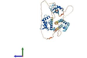 Protein Structure (PS) image for GA Binding Protein Transcription Factor, alpha Subunit 60kDa (GABPA) (AA 1-454) protein (His tag) (ABIN7556851)