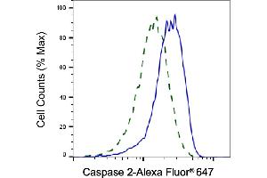 Validation of Caspase 2 knockdown using flow cytometry.