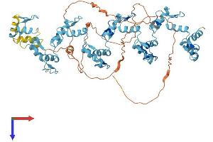ZNF16 Protein (AA 1-682) (His tag)