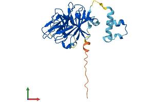 AlphaFold protein structure predicition of Mouse Recombinant Spsb2 Protein, UniprotID O88838 (SPSB2 Protein (AA 1-264) (His tag))